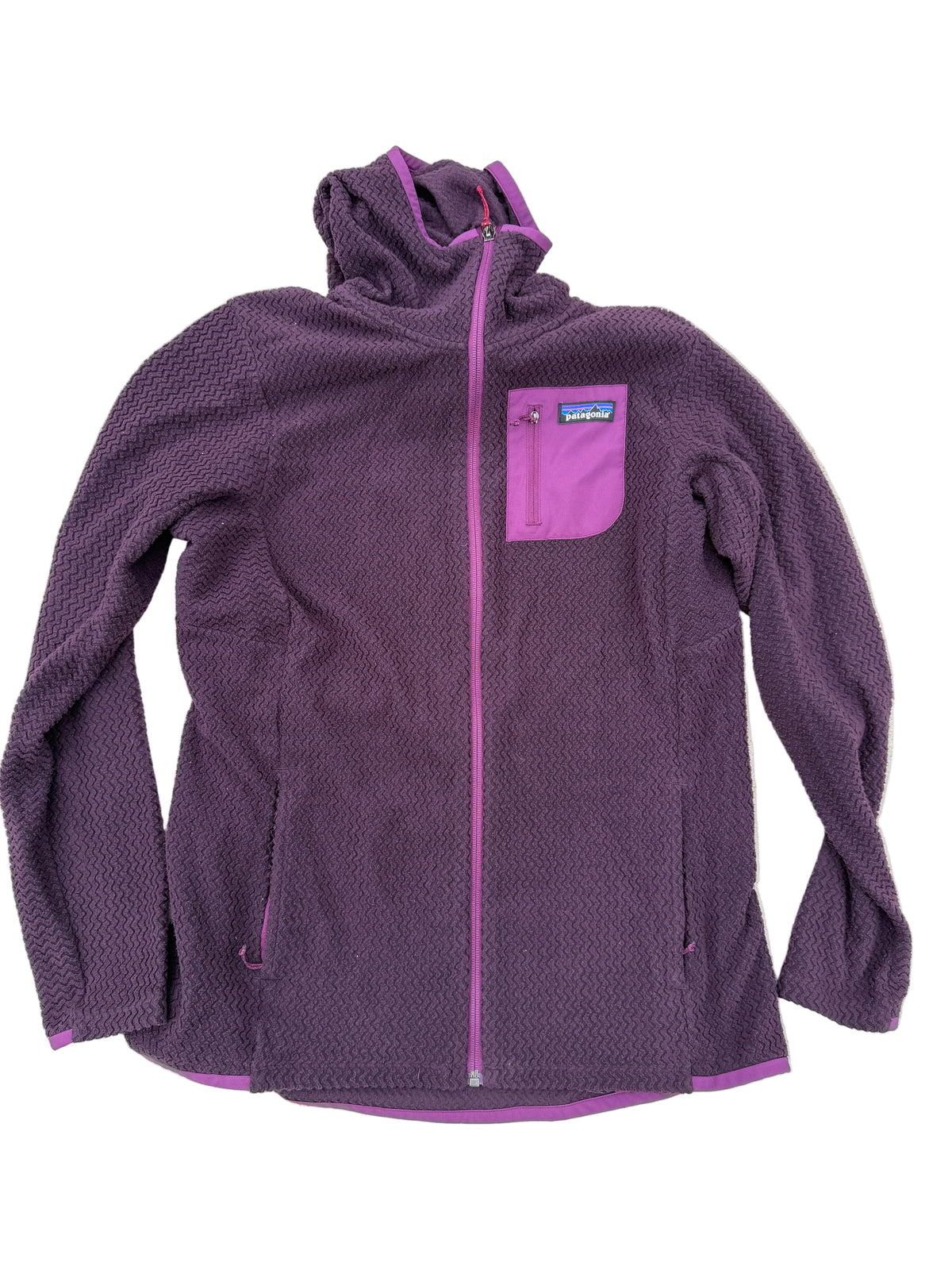 Patagonia R1 zip hoodie